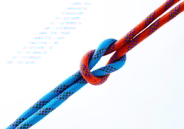 Ropes of blue and red in a single knot